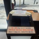 세종 아름동맛집 으뜸 스시, 회전 초밥 제대로 즐기고 온 내돈내산 후기