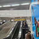 신우리들약국 | [대만] 가오슝 공항에서 타이중 가는 법(MRT,THSR,TRA) 럭키드로우 당첨
