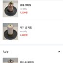 어반디아 이미지