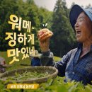 보성녹돈 이미지