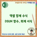 엑셀 합계 수식 DSUM 함수, 회계 서식 이미지