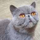 미라클 그루밍 이미지