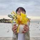 제주24시꽃집 아라동 폴플라워 어버이날 달항아리 꽃다발 후기