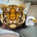 예본스틸 이미지