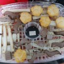 댕댕까까 이미지