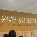 레몬약국 | 7월 첫째 주 일상 일기 - 동백식당, 소금집, 란주칼면 그리고 약간의 룰루레몬와 온유약국 후기