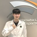 바이퍼코리아 이미지