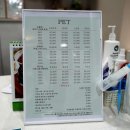 케이디펫 이미지