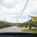 마호네일 이미지