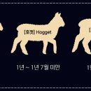 국대상회