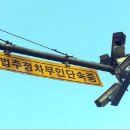 주정차단속-25 이미지