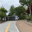 지혜숲어린이집 | 용인농촌테마파크 2025년 최신정보: 들꽃광장과 관상동물원