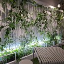 하라코트 | 도쿄 하라주쿠 하라카도 / 이탈리아 젤라또 맛집 지올리띠 (Giolitti) / 내돈내산 후기