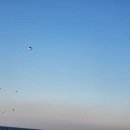 공원칼국수 이미지