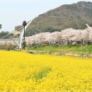 황산공원 이미지