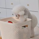 보듬보듬 이미지