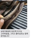 짜임명품세탁 이미지