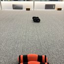대전바레 추천 둔산동바레·관저동 바레 8:1 체험 후기 (주차 가능)