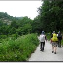 문경새재 이미지