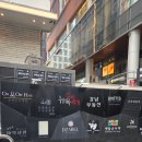 자연앤동물병원 미용실 | 온앤오프헤어강남본점 톤다운 염색 만족도 높은 강남역미용실 가성비 끝판왕