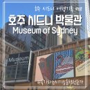 새로안안경 송도센터 | 호주 시드니 여행 #08 시드니 박물관 영업시간 Museum of Sydney 시드니 박물관 무료입장 시드니 신혼여행