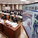 수색-022 Daum카페