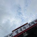 향토정 - 순천시 | 입에서 살살 녹는 부드러운 보쌈과 빗소리 들으며 즐기는 해물파전 막걸리 조합,'향토정' 솔직 후기