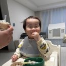 하이캐치 | 내돈내산 푸드캐처 캐치 도노도노하이체어 호환 후기~~