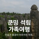 수억인삼 - 5834 | 쿤밍 석림 여행기 유네스코 세계자연유산 아시마 전설의 바위숲