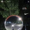 (주)페가수스넷 | [공지] 러닝은 시간과 돈이 많이 드는 취미이다. 아닌줄 알았다(2025 나이키런 제주후기)