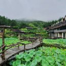 이국적인 분위기의 여행지 이미지