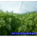 (주)기원농장 이미지