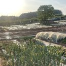 꿈돌이노래방 이미지