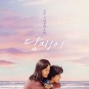 담쟁이 이미지