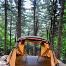 레스트하우스 이미지