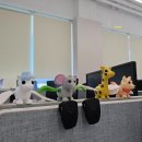 빼더 | [일상] [기록] 25-11