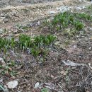 오백농장 이미지