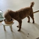 제트이비인후과의원 | 24. 9월 첫째주 일상