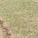 귀농공인중개사사무소 이미지