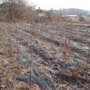 모과목장 이미지