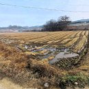 금촌 공인중개사사무소 이미지