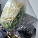 바다황제 | [내돈내산 식당일기] 일산 백석동 황제의바다 포장 후기 – 가성비 횟집 탐방