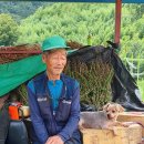 산청골 이미지