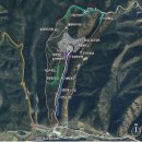 치유의숲 이미지