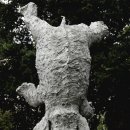 서기메디칼 이미지