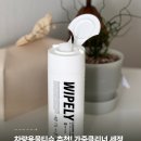더와이 | 차량용물티슈 추천! 가죽클리너 세정티슈 더클래스 와이플리 후기, 차량용물티슈 가죽클리너 세정티슈...