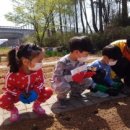 일심유치원 이미지