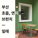 부일동물병원 | 잎테 쿠바샌드위치와 양송이수프 후기: 독서하기 좋은 부산 초읍, 연지동 브런치 카페