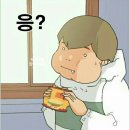 [여수 순천 1박2일 여행 3탄] 뽀빠이국밥 | 카페 여수에서 | 바다김밥 내돈내산 가볼만한곳 추천