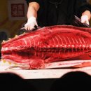 참치랜드 이미지